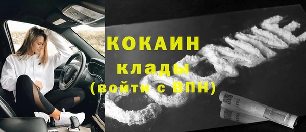 PSILOCYBIN Ладушкин