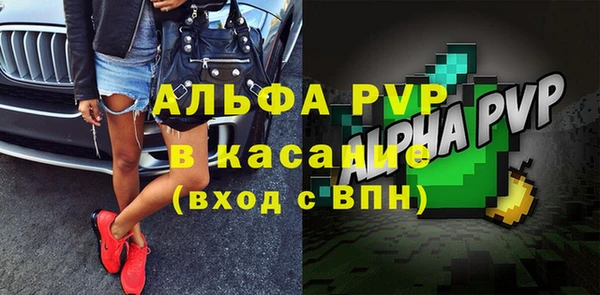 PSILOCYBIN Ладушкин