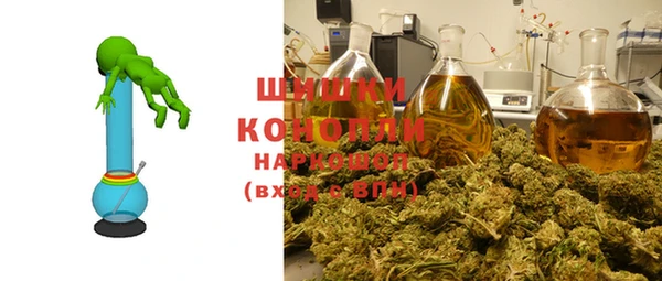 PSILOCYBIN Ладушкин
