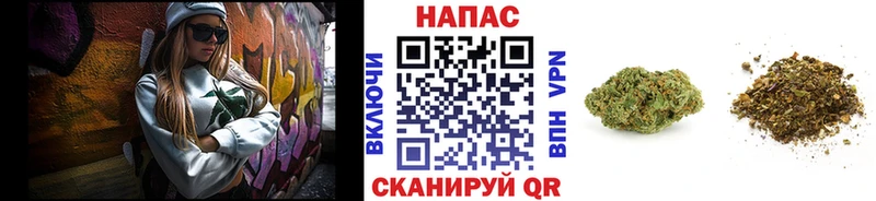 Марихуана OG Kush  Михайлов 